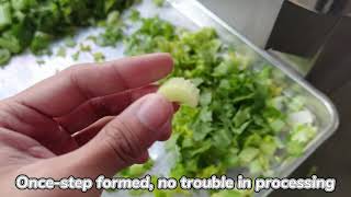 Multifunctional vegetable cutter DQC101