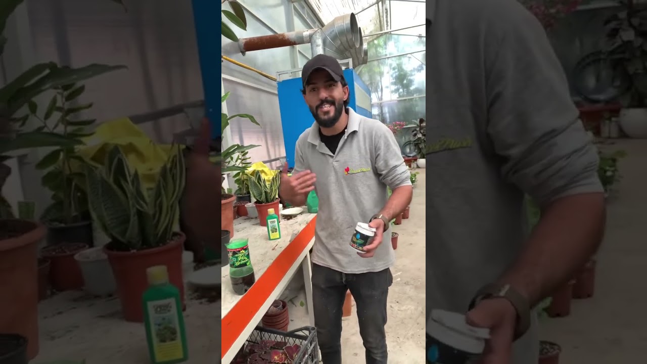 طريقة تسميد النباتات 🌿 بطريقة سهلة وبسيطة