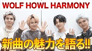 【WOLF HOWL HARMONY独占】新曲「Sugar Honey」発売で魅力を語る!!