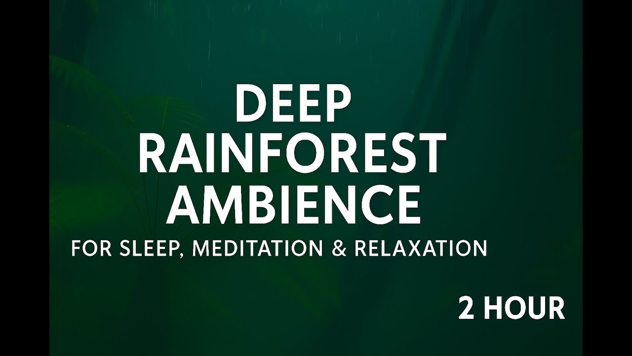 2 Hours Deep Forest Sounds 🌲 Rain, Birds & Wind for Sleep, Study, Meditation (NO MUSIC)