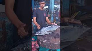 Fresh Tuna Fillet – Satisfying Cutting Skill 🐟✨‎#TunaCutting #Seafood #CookingVideo #TunaFillet