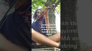 Fadolin (6 string violin) jam in Boston, MA