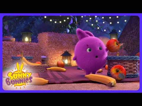 Sunny Bunnies - | Kids Cartoons | WildBrain Farm - YouTube