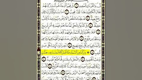 الشطر الأول من سورة ق بصوت الشيخ عمر القزابري