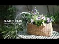 GARDENSスタイルのバスケットの寄せ植え | Planting in a basket | 【ガーデンズ】