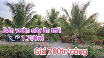 Tập 575♥Bán đất vườn dừa xã Bình Ninh Chợ Gạo Tiền Giang