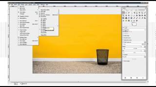 Image Manipulation
