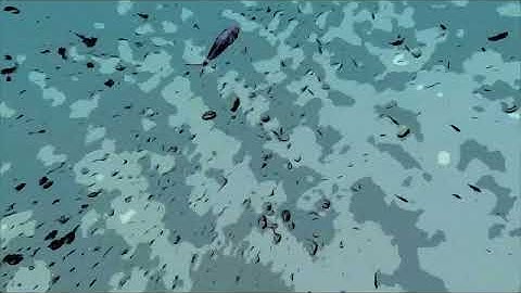 thevioletlips - Periscope Official Video