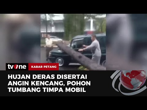 Pohon Tumbang Timpa Mobil di Kebayoran Baru, Dua Orang Terluka 