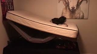 New Richmat Electric Bed Fail