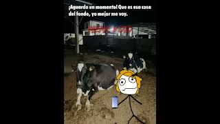 Void Meme 166 No Busques La Mirada