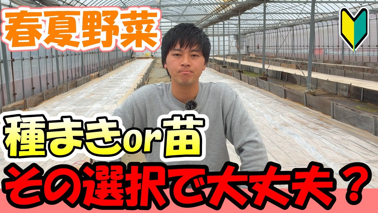 【家庭菜園】初心者の方必見！種まき？苗植え？その選択で春夏に泣く可能性があります