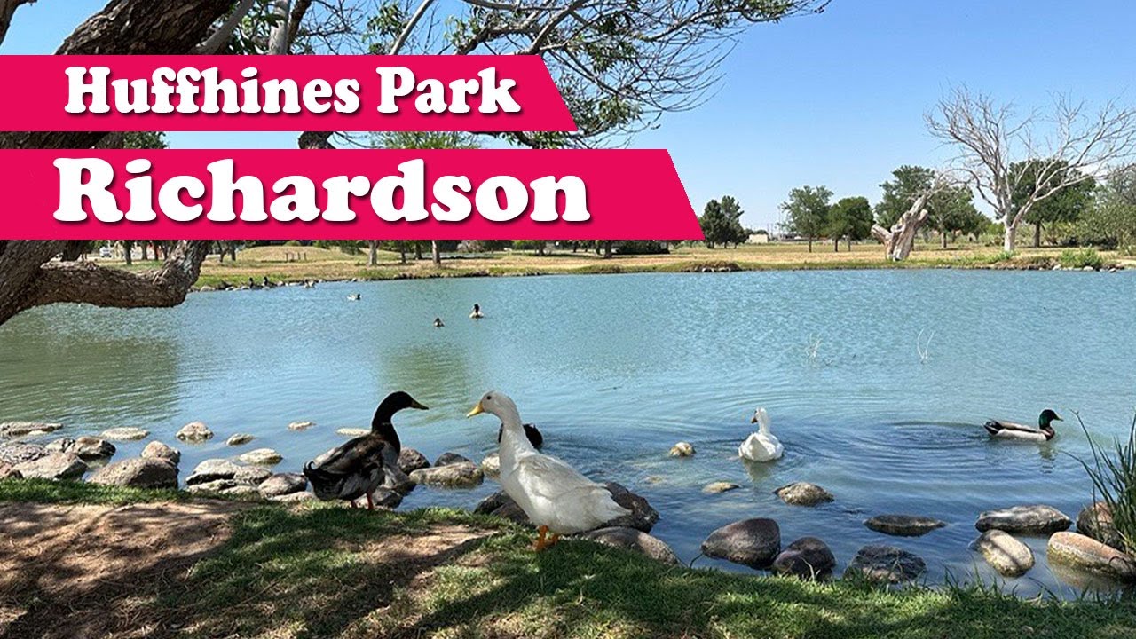 Huffhines Park Richardson | Duck Park in Dallas | Beautiful Park in Richardson