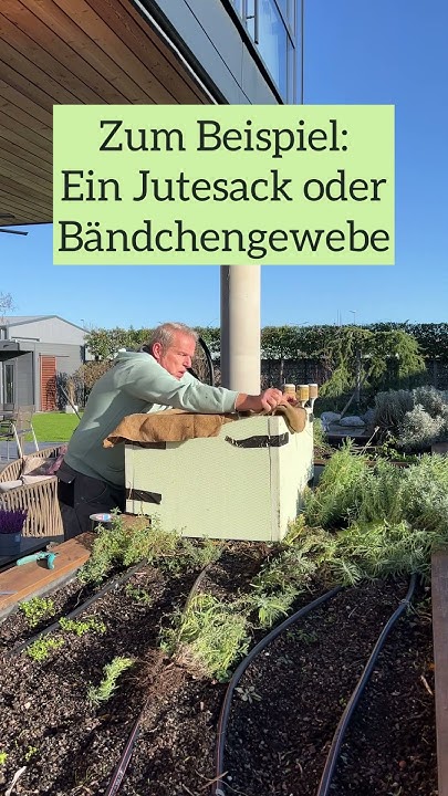 Bananenstaude winterfest machen Ganz einfach mit unseren Gartentipps 