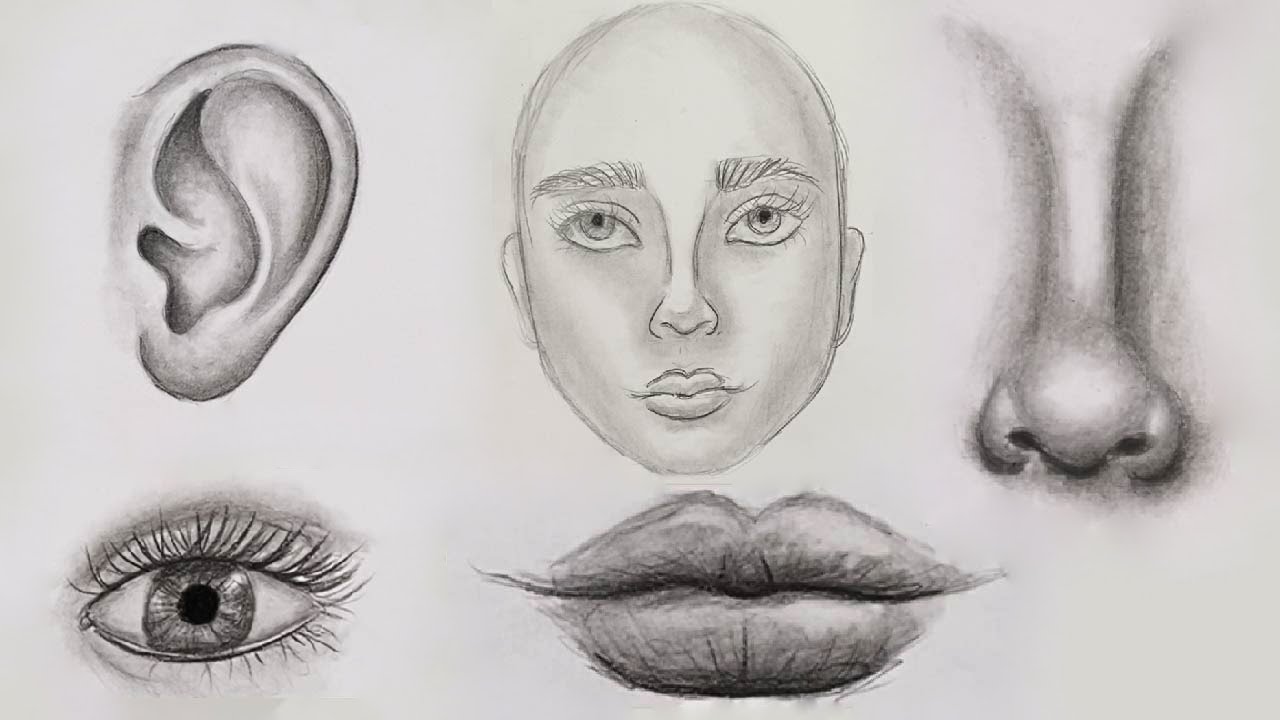 Comment dessiner le visage d'une femme étape par étape