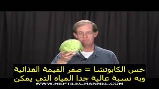 تغذية السلاحف البرية - ترجمة أحمد الشناوي