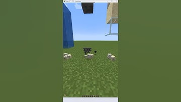 Minecraft turtle egg logic