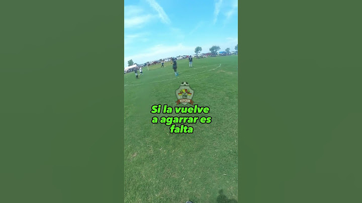 correcto lo que marco el arbitro? #futbol #refcam #referees #refereePOV