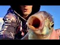Рыбалка онлайн с озеро Шарташ. Фидер 2021