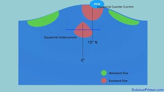 Currents in the equatorial oceans | equatorial counter currents and equatorial undercurrents