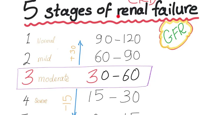 Mnemonic: the 5 Stages of chronic kidney disease, based on GFR - DayDayNews