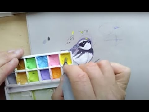 Gouache Palette Setup & Shinhan Designers Gouache Initial Review - Part 1 -  Mina Does Art Stuff 