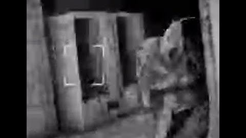 CONTENT WARNING: SNAIL MAN RETURNS!!!