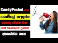 how to get free  crypto 2023 // candy pocket  app   free   crypto 2023