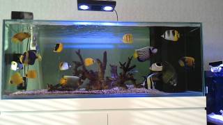 video 2012 02 16 08 49 40
