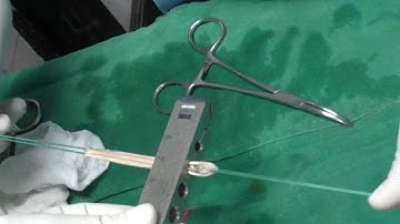 Semi T Triplication for ACL Reconstruction.