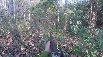 Dib qaib thiab tua noog haus paj roob av liab