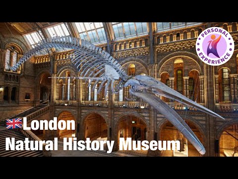 Video: London, Natural History Museum - historien om livet på jorden