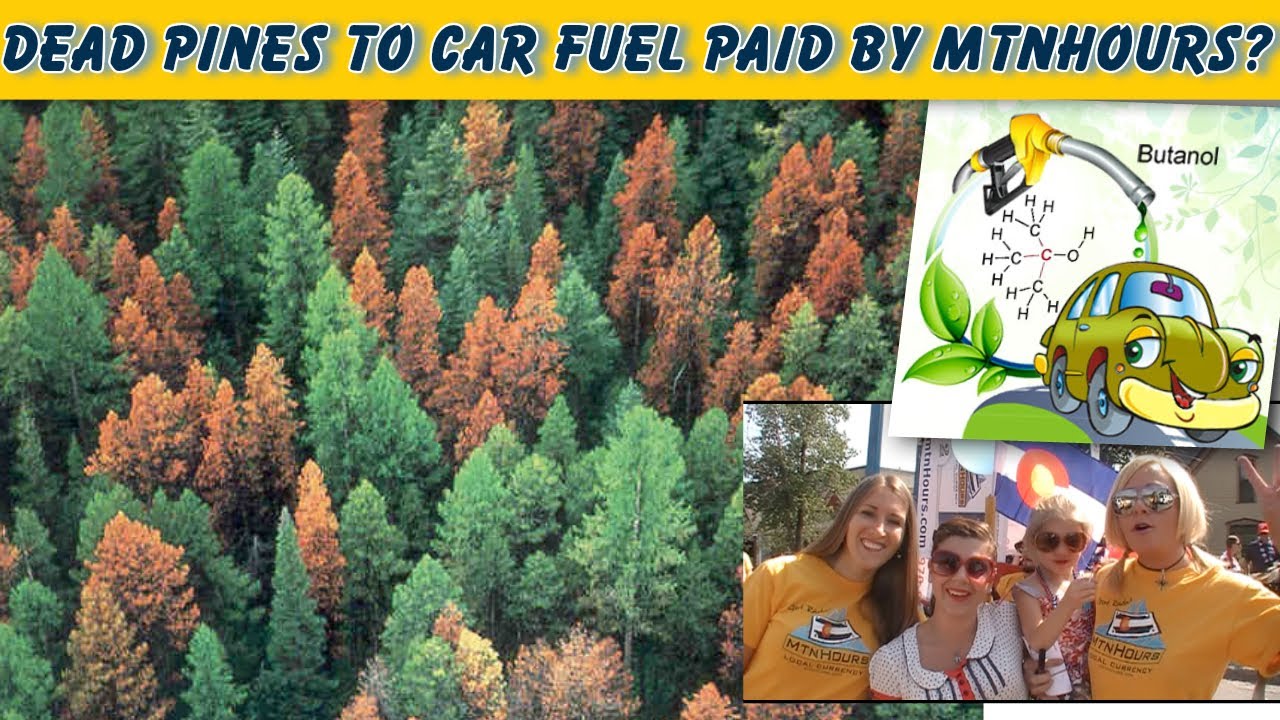 Dead Pine Tree Solution? Convert to car fuel Paid w/mtnHours!