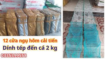 12 cửa ngục - Lú thái lan - hôm cải tiến khung 21 x 35, bắt được tép đến cá 2kg