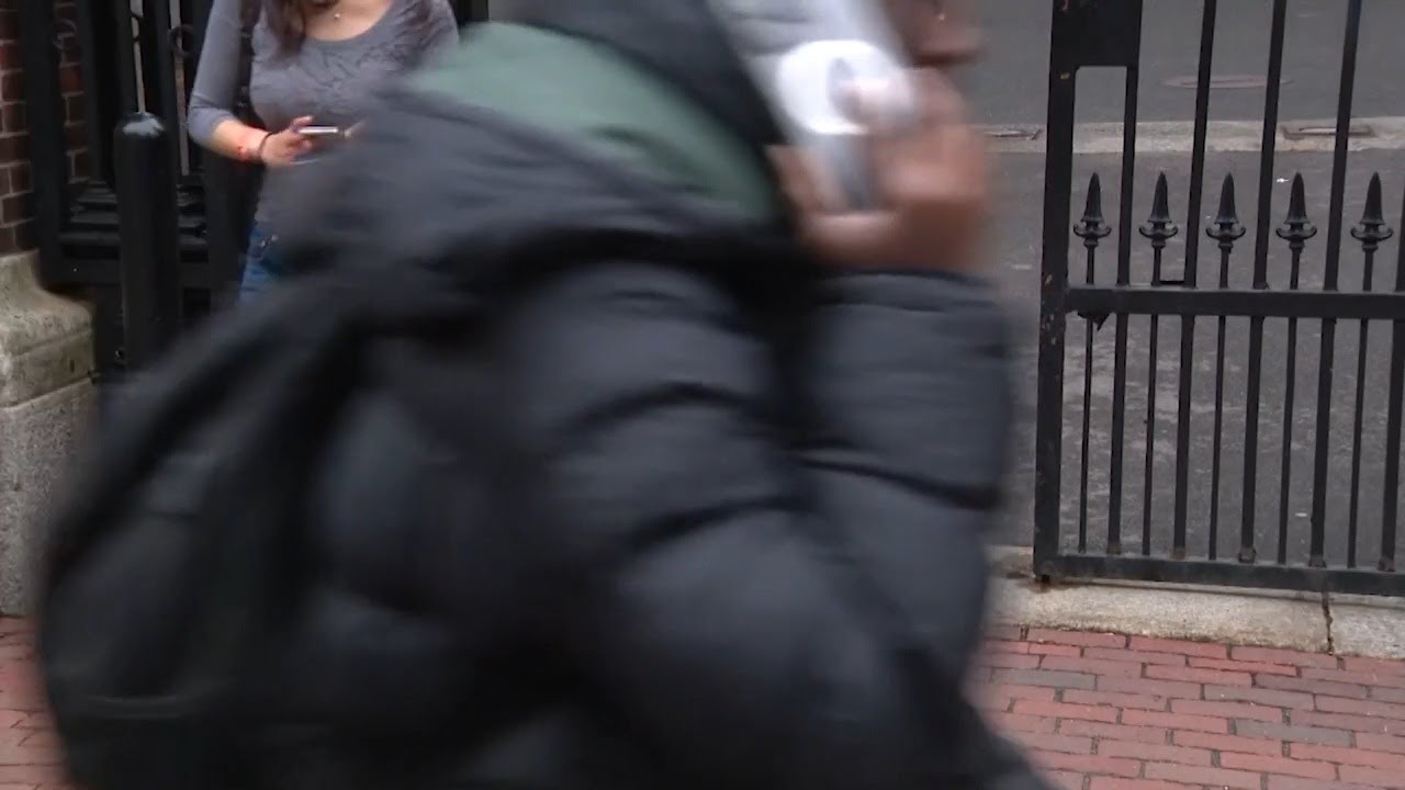 Harvard responds to recent Trump administration actions against the university