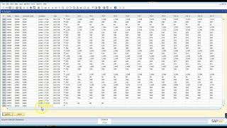 SAP B1 - GL Budget UDT