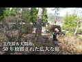 【お化け植物】庭DIY開始！50年放置され巨大化した植物を伐採＆開拓！｜田舎暮らし