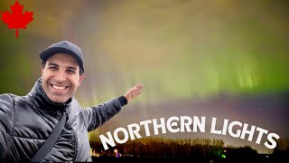 Northern Lights In Calgary Canada 🇨🇦| Amazing First Experience