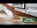 DIY Roach Bait That Works Better Than Pest Control