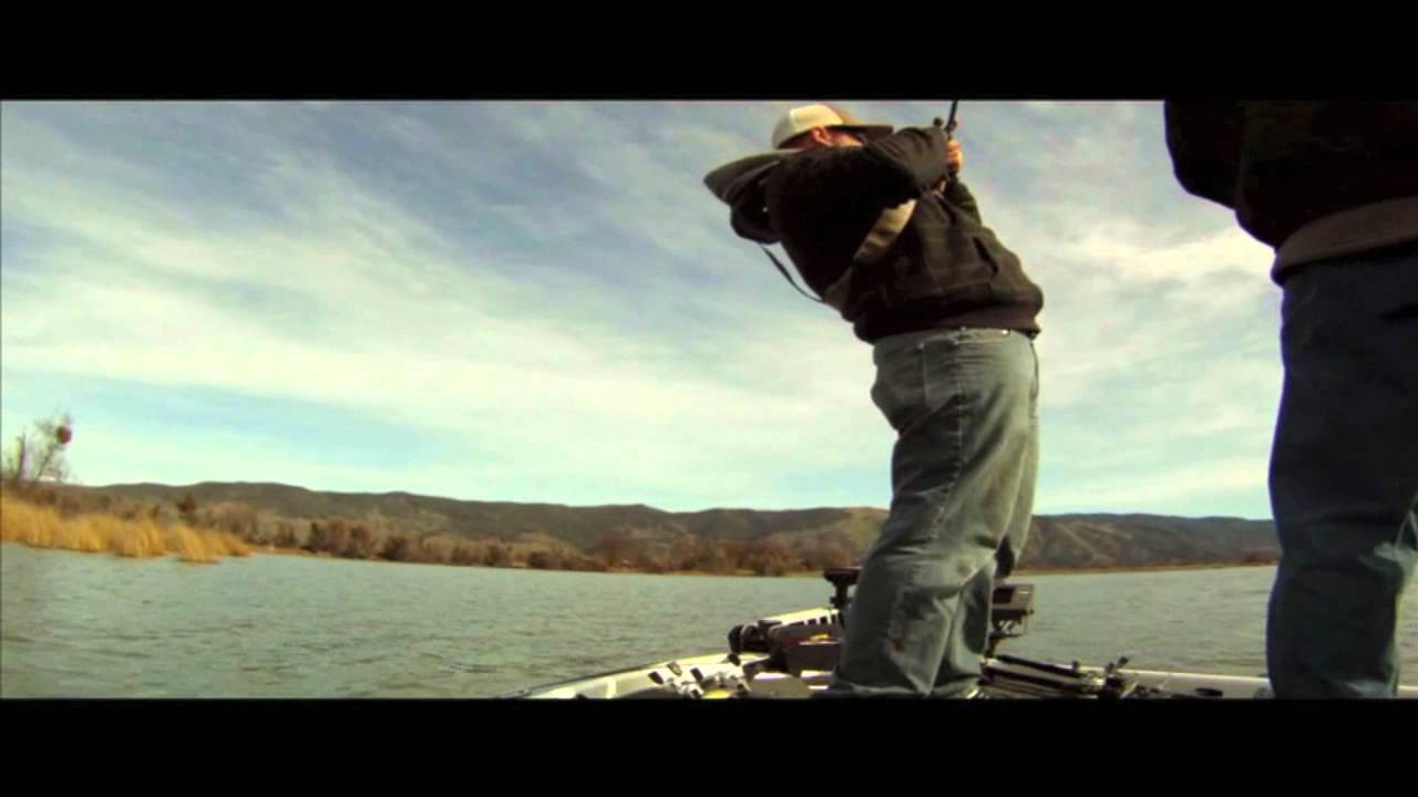 Frenzy Baits - The Bounty Hunter