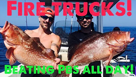 *MONSTER* RED GROUPER SNAPPER, AJS, OFFSHORE 35 MILES CLEARWATER, FL