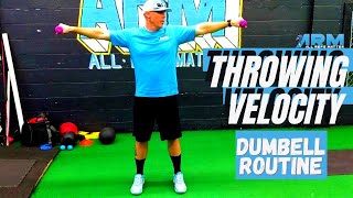 Best Dumbbell Exercises To Help You Throw Harder