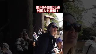 😮日本の伝統文化はスゴイ!!外国人も驚きが隠せない!外国人観光客が奈良・東大寺の金剛力士像の素晴らしさに驚愕 #奈良 #外国人観光客 #外国人の反応 #東大寺 #金剛力士像 #shorts