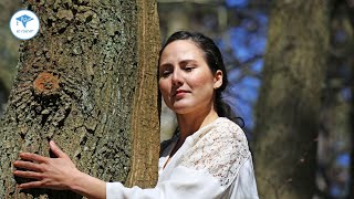 The Power of Nature Why Forest Bathing Increases Natural Killer Cells