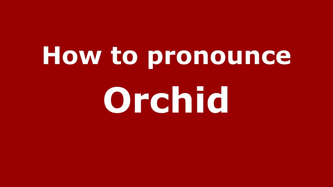 How To Pronounce Orchid (American English/Us) - Pronouncenames.Com