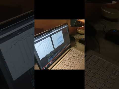 UOG DSP Assignment 3
