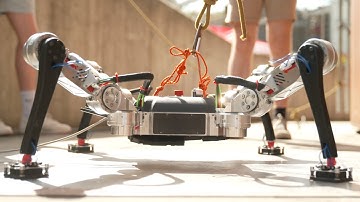 Magnecko and RoBoa: rescue robots are here
