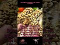 50 Old Man Rice Bars, Non Fried Whole Grain Bars #Trending #SnackRecommendation #Food #OhMyGodItSmel