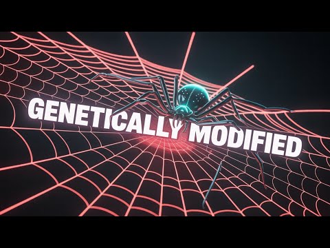 Weaving the Future: CRISPR-Edited Spiders Spin Fluorescent Silk