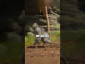 #gamerlife #game #simulator #gaming #gamingupdates #simulation #gameplay